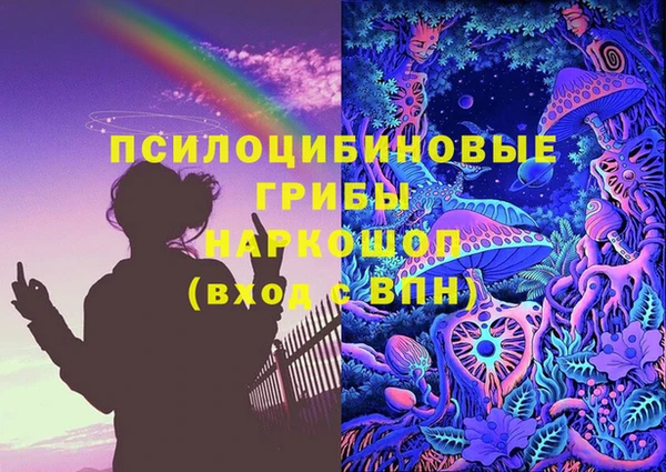 a pvp Богданович
