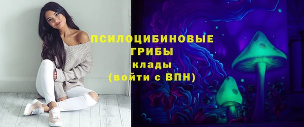 тгк Богородицк