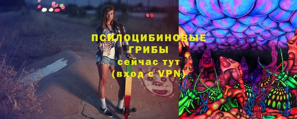 a pvp Богданович