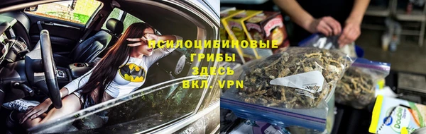 тгк Богородицк